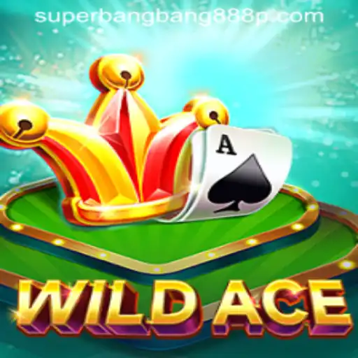 Exploring the Thrilling World of WildAce: The Game Revolutionized by Superbangbang888
